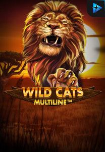 Bocoran RTP Slot Wild Cat Multiline di ANDAHOKI