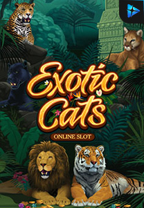 Bocoran RTP Slot exoticcats di ANDAHOKI